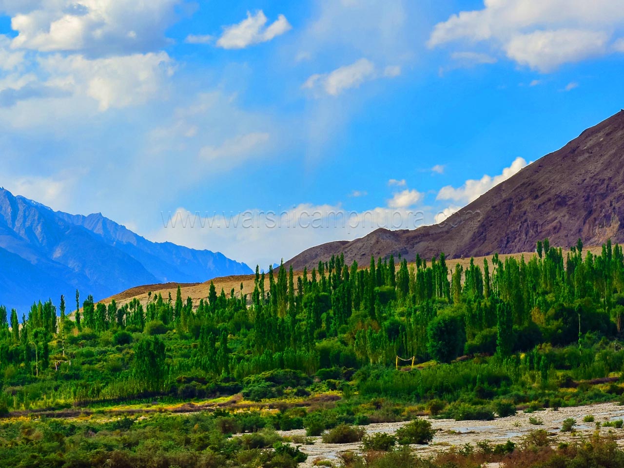 Nubra Valley Ladakh