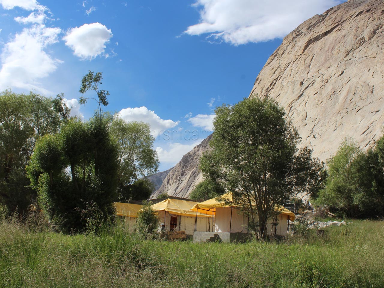 Nubra Warshi Camp